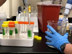 Lab tests micro pollutants